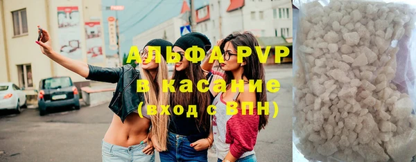 гидра Мурманск