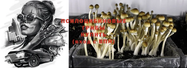 твердый Великий Новгород