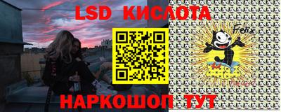 СК Донской