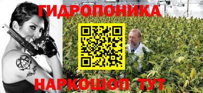 эйфоретик Дубна