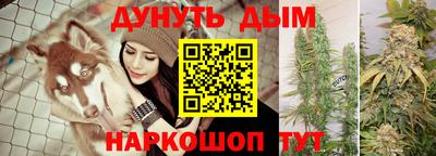 индика Донецк