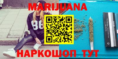 прущие грибы Бийск