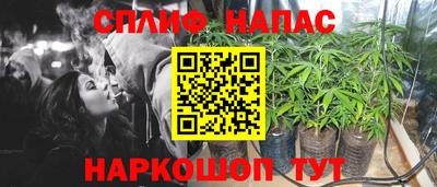 СК Донской