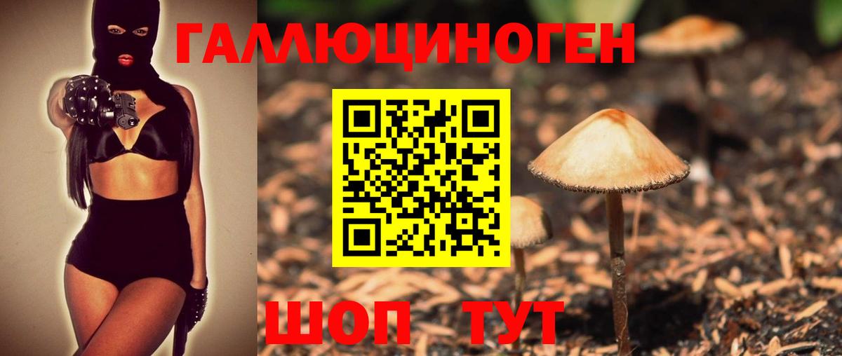 Новоалтайск  КОКАИН  Меф кристаллы  Вход с VPN  Каннабис  ГАШ 
