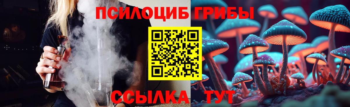 Псилоцибиновые грибы ЛСД  Псилоцибиновые грибы MAGIC MUSHROOMS  Вход с VPN  Новоалтайск 