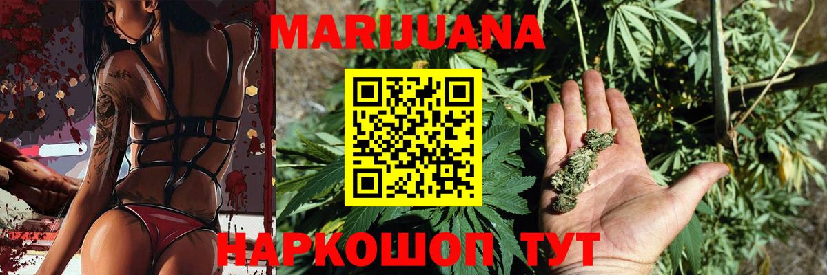 Бошки марихуана OG Kush Новоалтайск